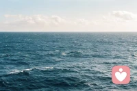 “没有完美的人生，不完美才是人生。”如此，不管生活的处境如何，都保持一种平淡的内心状态。然后，拿出一颗平常心，一颗敬畏心，让自己更加淡定，更加从容，也更加洒脱地面对未来。古训说：“如何向上，唯有放下。”放得下，才是真正的强大，也只有学会放下了，生命才会进入到一种天宽地广的处境当中。