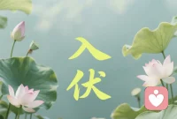 俗话说：“冬练三九，夏练三伏。”伏天的日子虽然难熬，但只要掌握好方法，就能把这段时光变成养护身体的好时机。这“五个一”都是举手之劳的小事。不费钱也不费事，贵在日日坚持，养成习惯。从今天起，把温水喝起来，热汤端起来，午觉睡起来，扇子摇起来，泡脚做起来。让身体在伏天里舒舒服服地排浊养阳。
