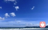 真正的放下，根本不是自暴自弃，也不是懦弱无能，更不是从此消失。而是知道了，任何时候，一个人都该有在合适的时候，做合适的事的智慧。假如你做一件事，已经坚持了好久好久，可发现依旧看不到进展，甚至都在负债累累地陪玩了。那么，你就该好好反思，你手头上做的事，替代性是不是太简单，行业发展势头是不是早就见底了。如果一个人总是在一种被替代性太容易、被颠覆的难度太简单的行业里混着。那么，其实自己的成长是停滞的。人的成长一旦陷入停滞，就像在河流航行一般，不进则退。这种不进则退的状态，会很大概率上在时代调转方向的时候，自己就被抛弃了。麦家曾说：“人要学会放下，放下是一种饶人的善良，也是饶过自己的智慧。”放下的本质，不是让自己捡轻松的活儿干，也不是自己想怎么样就怎么样。而是说，你得清楚自己当下的处境，目前的状况。然后吧，不要让自己陷入拧巴之中。