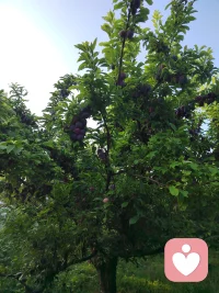 “回看世间苦，苦在求不得。”世间之苦，在于求而不得，人生之乐，在于寡欲知足。正所谓命里有时终须有，命里无时莫强求。很多时候，一个人越想得到什么，就越不可能拥有。得失心太重，欲望太多，反而过得太苦，太累，最终也没能得到自己想要的幸福和喜悦。
     生命就是这样，看似波澜壮阔，终究会回归宁静孤独的归宿。所以，面对跌宕起伏的人生，我们要保持心态上的稳定，要做到控制欲望，简化欲望，真正做到大道至简。然后保持内心的宁静和平和，让喜悦和松弛点缀生活。平平静静，平平淡淡，平平凡凡，也是一种真幸福，真满足。