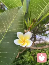 大自然才是最大的能量场，是我最好的心理补给！情绪就像物理中的能量守恒，不停地转化。