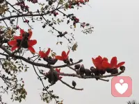 人生很难圆满，有的人婚姻不好，但子女很好，有的人婚姻很好，但身体不太好，人生最好的状态，就是求缺！