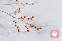 如果一个人一开始在情感选择上是听从别人的建议，看似很对，但是源于自身自主权纯粹的选择也将外加于人，这样也就无法从心中生出力量，倒是多了一份自我质疑与心力的消耗。

很多年以后的追寻与执着，要问自己的是:你的心在光中还是黑暗中，若在光中，那自然是源于自主权纯粹的选择，没有捆绑，没有道德绑架。如果在黑暗中呢？你想逃避当下的什么呢？遮盖什么呢？

如同一件很多年前喜欢的衣服，他人的意见使你认为不合适于是放弃。很多年以后，你再看到那件衣服，你想终于可以买回来。可是你是回归到那个纯粹有自主权的你，还是伤痕累累的你呢？

怎样选择都对，只是当下你在哪个阶段？你终究要面对的是自己，你最终要成为的也是你自己。
你所失去的不是别人，而是你自己。
是你迷失的那一部分自己失去了方向。
在困顿中你可以借着光点亮心灯。但最终你要成为那道光。配图