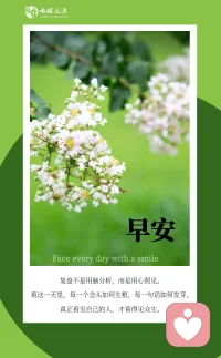 复盘不是用脑分析，而是用心照见。看这一天里，每一个念头如何生根，每一句话如何发芽。真正看见自己的人，才看得见众生。