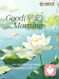 你无法通过满足欲望来消除欲望，
你只能通过看清它来放下它。