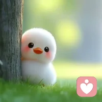 今天我心里亮起一盏灯，希望可以照亮更多人