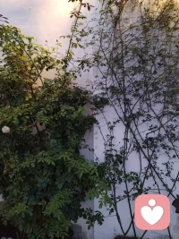 心灵成长，便是世俗意义上的修行

没有透彻认知与了知，所谓放下，本质只是情绪压抑；
所谓向内求，不过是刻意逃避；
所谓忍辱，只是自我精神麻痹。
 
一切人事物，想要实现真正的放下与解脱，唯一路径，就是理解它、了知它、解构它。
没有看透本质、拆解透彻的人和事，永远无法真正超越。
 
唯有彻底厘清根源，内心才不会留存执念痕迹。
这份痕迹，就是记忆，就是执着，就是常说的业力。
 
人若心存惰性，不愿思考、不愿深究、不愿直面问题，
结局只能是反复陷入相同的困境与痛苦，这便是轮回。
 
小到个人情绪命运，大到社会运行规律，
凡是未被彻底理解的事物，必然会不断重复上演。
 
真正的修行，不是闭目自守，不是强行忍耐，不是空洞释怀。
而是直面问题，深究根源，解构本质。
这，才是真正的向内求索，才是究竟的解脱与超越。