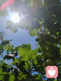 从心理学拆解，所谓的修行，本质就是心智成长的过程。

结合荣格分析心理学来说，人内在存在阿尼玛、阿尼姆斯原型，对应内在异性能量，一个人的内在阴阳若未完成整合，就不可能真正超越情欲。
 
这份内在整合的完成，代表人格深度觉醒，收回向外投射的异性能量，完成自我整合。名为“自我整合”，实则已开始超越自我，从男女二元对立走向统一。
从荣格心理学上来说，心灵完整统一，也就是走向了自性。