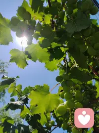不要相信人，要相信和了解人性。
不管是在家还是出家的所谓修行人，能超越情欲和金钱的极少，大概在千万分之一。所以与任何人交往要保持警惕，并不是穿上僧衣就值得相信，人性的底子是一样的。