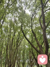 维特根斯坦在《逻辑哲学论》中指出：

“语言的边界就是世界的边界。”而岸见一郎、古贺史健在《被讨厌的勇气》中从阿德勒心理学角度提出：人可以借助语言、理性与逻辑，建构自我认知与生活。

二者虽侧重点不同，却共同揭示了语言对思想与现实的深刻塑造作用。