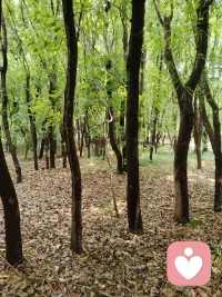 人类的边界就是语言的边界。

日本哲学家，心理学家，阿德勒在《被讨厌的勇气》一书里说：
“要相信语言的力量，要相信具有理性、逻辑性，的语言。”

一个真正心智成熟的人，不是一声不吭的沉默者，而是学会通过语言来表达自己想法和感受的人。

沉默不是金，个人而言，可能是自私自利的胆小鬼，也可能是因为愚昧无知；社会而言，可能是邪恶的帮凶，也可能是精致利己后的算计。