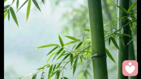 应无所住而生其心：觉醒之后，才懂放下抓取的力量