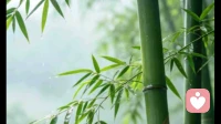 应无所住而生其心：觉醒之后，才懂放下抓取的力量