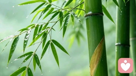凡我所失,皆非我所有。