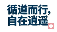 不得已不是被迫妥协，是尽人事听天命，清醒自洽，守住本心。
