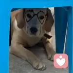 小芭的头像
