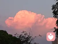 内心挣扎了很长一段时间，今天终于付出行动来到了我们的给力平台，虽然正在审核，但是今天的自已经很棒了♥期待能够成为大家庭中的一员。