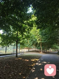  林荫慢走，光影自愈。很多心结，就像树影，静下心慢慢就能看清脉络🌿