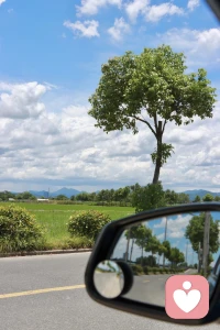 一路细碎的学习与练习没有白费，考核顺利过关，给自己一份小小的嘉奖🌿