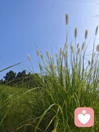 古人诚不欺我，早起三光。
内心有想法，就付诸行动。
在去在完成的路上，你已经开始赢了。