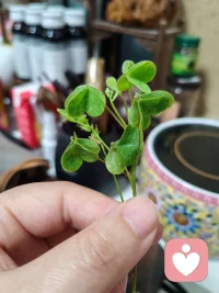 下雨了🌧泥土的芬芳，沁人心脾的微风轻抚裙摆，像是来自天堂的问候～地上的裂纹～像你～像我