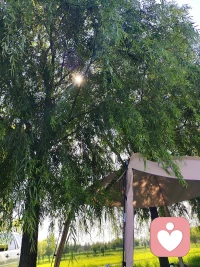 漂亮不会被爱，身材好不会被爱，多金不会被爱，有权利地位也不会被爱。被需要才会被爱。要接受，所有人都不爱你。这个世界上没有任何人接近你，是来爱你的，都是来满足自己的！