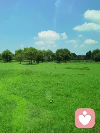 困住你的牢笼，门一直都没锁，是你一遍遍用“假如”砌墙，用“万一”上锁。沐楠汐与你一起把门推开一道缝，透口气吧。