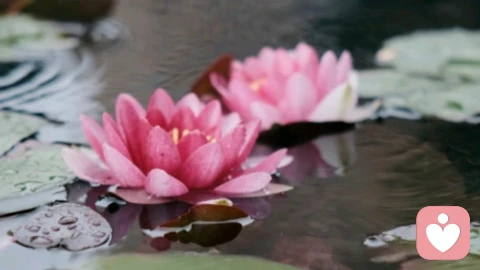 你的松弛,就是吸引力