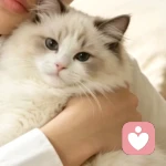 听你的头像
