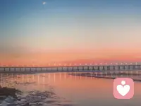 家务的尽头是少物，运动的尽头是静坐，教育的尽头是放手，爱情的尽头是自爱，生活的尽头是极简，相处的尽头是舒服，人生的尽头是自渡。