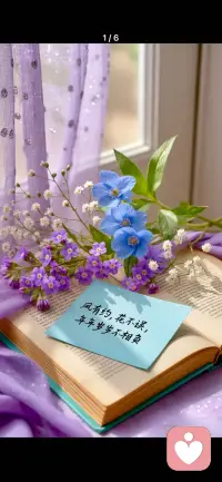 窗光漫过旧书页，花草静立，不慌不忙。
风有约，花不误，岁岁如此，静默自持。
不必急于奔赴，美好自会按时抵达。