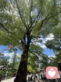 佛说人生八苦  生 老 病 死 爱别离 求不得 贪嗔痴 五阴炽盛配图