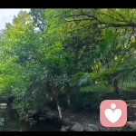 风的头像