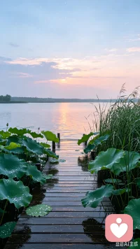 夏日一场骤雨过后，湖面平静无波，微风带着湿润草木气息缓缓漫来。白日积攒的焦虑与烦闷，都被雨水冲刷干净。静坐湖边，不必追赶世事，只静静感受此刻松弛，所有纷乱情绪慢慢归于平和。