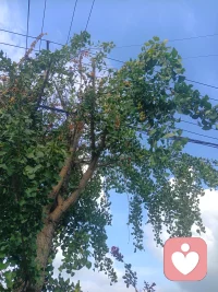 冲动之下的争执，赢了脾气，输了心情。一时动手解气，事后全是疲惫与麻烦。学会稳住情绪，好好说话，才是最好的自保。夜色安然，放下今日烦忧，好好安眠。晚安。