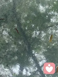 今天看到且很认同的一段话：当你做运动时，你会感到更虚弱，但你实际上是在变强壮。当你在学新东西时你觉得自己很笨，但你实际上在变得更加的聪明。所以当你变得很好时，你一定会先变得脆弱。而这个脆弱的时刻，事实上是一个很重要的突破和进步