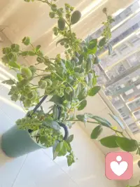 天行健，君子以自强不息