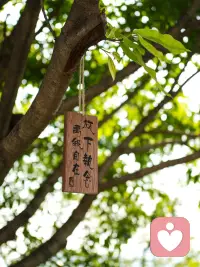 我是应用心理学在读的倾听者，深知很多时候你根本不需要大道理。
家人、朋友总急着告诉你“你应该怎么做”，一味劝你想开、包容、懂事，只会让你更不想开口。

如果你现在：
和父母吵架委屈、学业压力窒息、内心敏感内耗、没人能懂你的压抑、单纯只想发泄情绪。
我不会评判你的想法，不会纠正你的做法，全程只安静接住你所有负面情绪。

✅ 我的倾听底线：

1. 全程无说教、无建议，绝不强行开导你

2. 尊重你的所有情绪，难过、烦躁、叛逆全都可以说

3. 严格保密，你说的所有心事不会外传

4. 不催你倾诉，沉默发呆、慢慢吐槽都可以

心里堵得慌、找不到人说心里话，直接私信我就好。