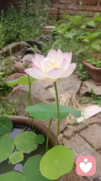 世上没有白走的路。每一段经历，最终会沉淀为生命的营养，滋养你迈向更远的前方。