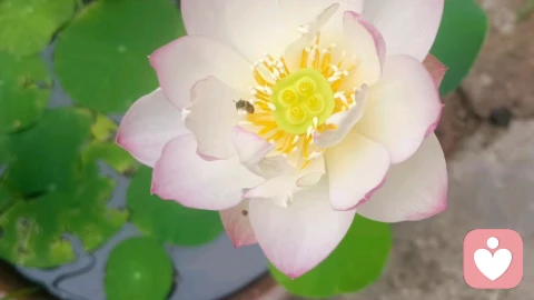 心外无物   富足丰盛美好