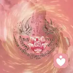 墨伊树洞的头像