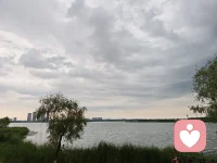 对待生命，不妨大胆冒险一点，
因为不管好歹你都会失去它。
如果这世界上真有奇迹，那只是努力的另一个名字。
生命中最难的阶段不是没有人懂你，而是你不懂你自己。配图