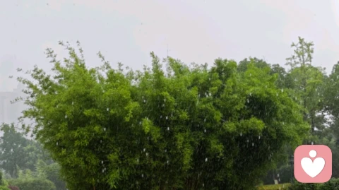 高敏感真的太累了