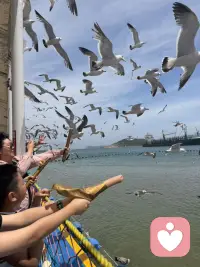 天高任鸟飞，希望我的朋友们也像鸟儿一样自由自在的飞翔