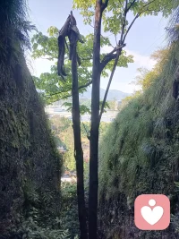 生活有时候会显出它不公平的一面，使我经历磨难。
然而，那不过是生活中一点或酸或辣的调味品，如果只将目光集中在这里，生活反而会变得毫无希望。当我遇到挫折的时候，多想想美好回忆中那些令人振奋的人和事；当我的情绪消极倦怠的时候，多想想如何去解决而不是一味地区逃避。当我将内心痛苦的负累转化为积极乐观的力量，便能在不幸的悲剧之中重新找到幸福的人生。