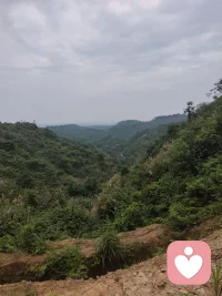 与焦虑和解：守好自己的节奏，就不算落后
不知道你有没有过这种时刻：明明一天没做多少重活，却累得提不起劲；明明没遇上什么过不去的坎，心里却总悬着一口气，坐立难安。
怕计划赶不上变化，怕付出换不来结果，怕被人落下，怕选错方向，连睡前都要把当天没做好的事翻出来反复咀嚼，越想越清醒，越清醒越焦虑。
其实你抬头看看四季就懂，春生夏长，秋收冬藏，每个时节都有它该有的样子。花不会因为有人急着看就提前开，叶不会因为有人舍不得就不落。天地间的万物，都在顺着自己的节奏走，从不慌慌张张赶时间，也从不拧巴着和规律较劲。
人也该是一样的。
很多时候困住我们的不是事情本身，是我们非要 “事事可控” 的执念。想把每一步都算准，想把每一个结果都握牢，想让所有期待都落地成真。可日子从来不是按剧本走的，就像风来了你挡不住，雨停了你也留不下。
真正的松快，从来不是把所有事都攥在手里，而是事来则应，事过则静。该做的事尽心做，剩下的交还给时间；该走的路踏实走，其余的随遇而安。不揪着过去内耗，不追着未来恐慌，把心安在当下这一秒，反而走得更稳。
不用逼自己永远紧绷向上。心里的容量就那么大，堆满了未发生的担忧，就装不下眼前的烟火了。允许自己慢一点，允许有些事就是不完美，允许自己偶尔 “没用”，这不是躺平，是给心留一处喘息的缝隙。
人这一辈子，不是所有褶皱都要熨平才算圆满。能在纷乱里守得住自己的节奏，在起伏里拿得起也放得下，就已经是很好的一生了。
你不用赶，也不用怕。花有花期，人有时运，你走的每一步，都算数。