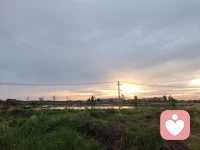 与焦虑和解：守好自己的节奏，就不算落后
不知道你有没有过这种时刻：明明一天没做多少重活，却累得提不起劲；明明没遇上什么过不去的坎，心里却总悬着一口气，坐立难安。
怕计划赶不上变化，怕付出换不来结果，怕被人落下，怕选错方向，连睡前都要把当天没做好的事翻出来反复咀嚼，越想越清醒，越清醒越焦虑。
其实你抬头看看四季就懂，春生夏长，秋收冬藏，每个时节都有它该有的样子。花不会因为有人急着看就提前开，叶不会因为有人舍不得就不落。天地间的万物，都在顺着自己的节奏走，从不慌慌张张赶时间，也从不拧巴着和规律较劲。
人也该是一样的。
很多时候困住我们的不是事情本身，是我们非要 “事事可控” 的执念。想把每一步都算准，想把每一个结果都握牢，想让所有期待都落地成真。可日子从来不是按剧本走的，就像风来了你挡不住，雨停了你也留不下。
真正的松快，从来不是把所有事都攥在手里，而是事来则应，事过则静。该做的事尽心做，剩下的交还给时间；该走的路踏实走，其余的随遇而安。不揪着过去内耗，不追着未来恐慌，把心安在当下这一秒，反而走得更稳。
不用逼自己永远紧绷向上。心里的容量就那么大，堆满了未发生的担忧，就装不下眼前的烟火了。允许自己慢一点，允许有些事就是不完美，允许自己偶尔 “没用”，这不是躺平，是给心留一处喘息的缝隙。
人这一辈子，不是所有褶皱都要熨平才算圆满。能在纷乱里守得住自己的节奏，在起伏里拿得起也放得下，就已经是很好的一生了。
你不用赶，也不用怕。花有花期，人有时运，你走的每一步，都算数。