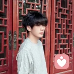 奶盖的头像