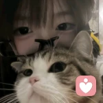 栖雾的头像