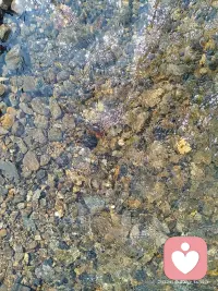 溪水清浅，心事慢慢流走🌊